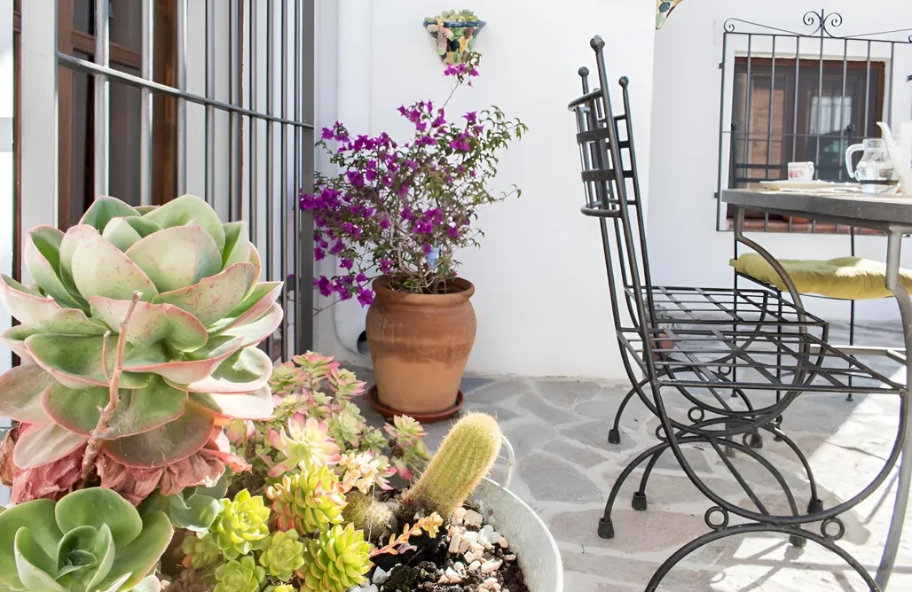 alojamientos AlohaCamp Cortijo Villa Aurora 1