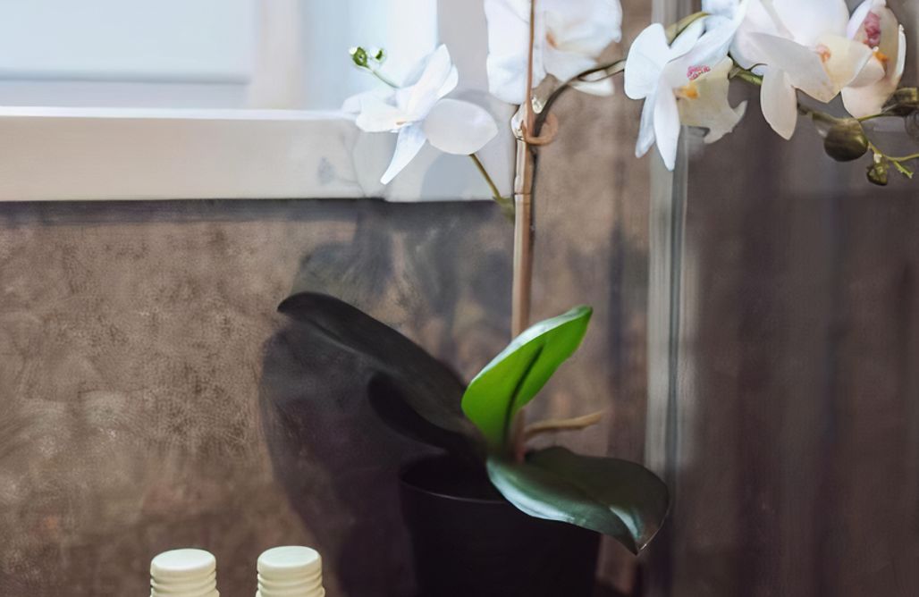 AlohaCamp Domek Dargin 1