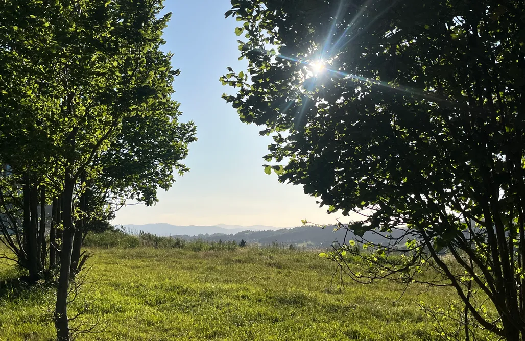 Kamesznica Domki Chata Misiorka 1