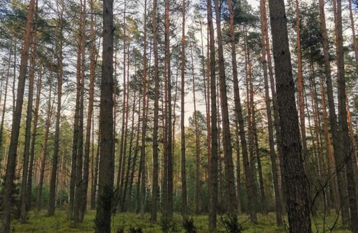 Zdjęcie obiektu Pensjonat Zakątek