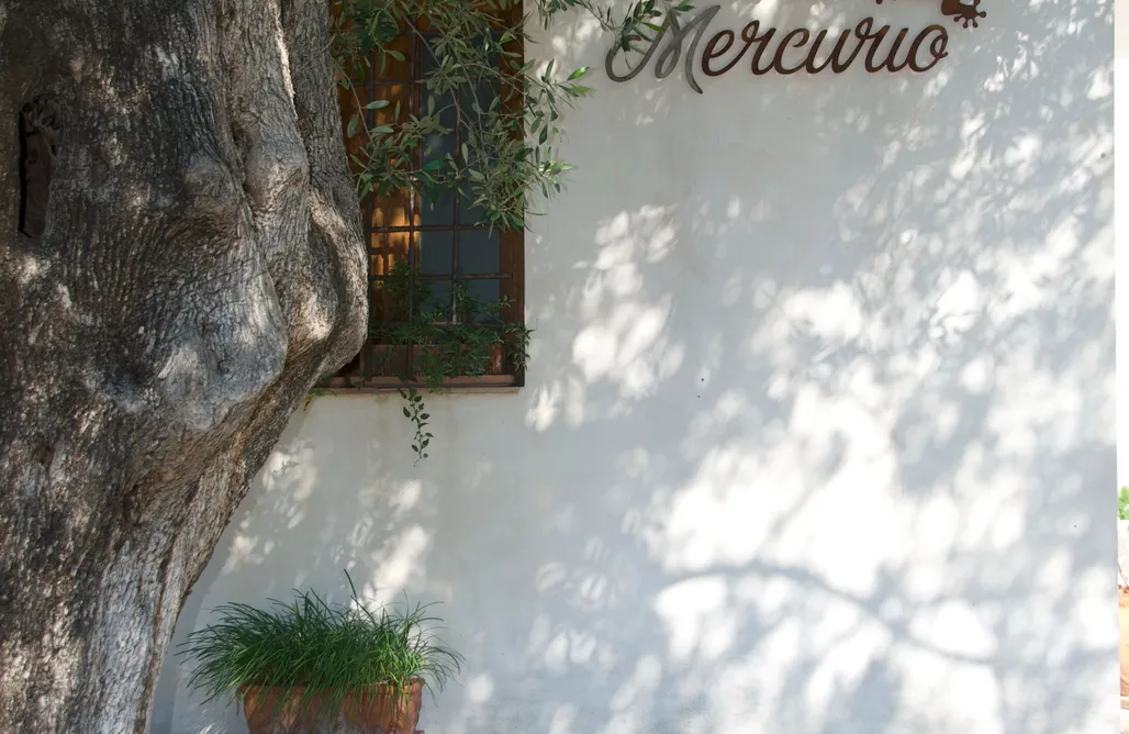 Notte di San Lorenzo 2026 💫 Santo Mercurio Country House 3