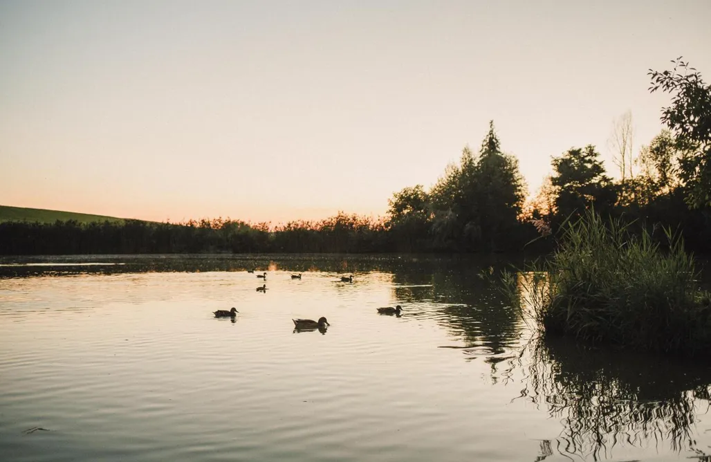 Taszów Domki Domek nad Rozlewiskiem 3