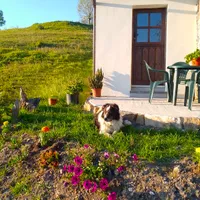 María Dolores host El Corralín