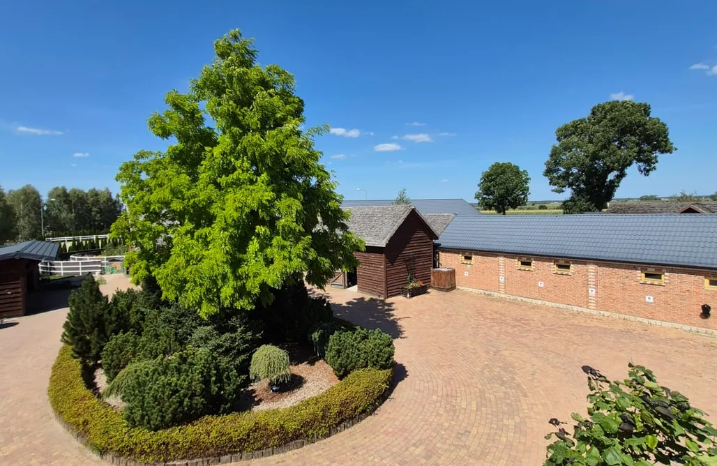 Agroturystyka Dolnośląskie ze zwierzętami Stajnia Paskudy pokoje 2