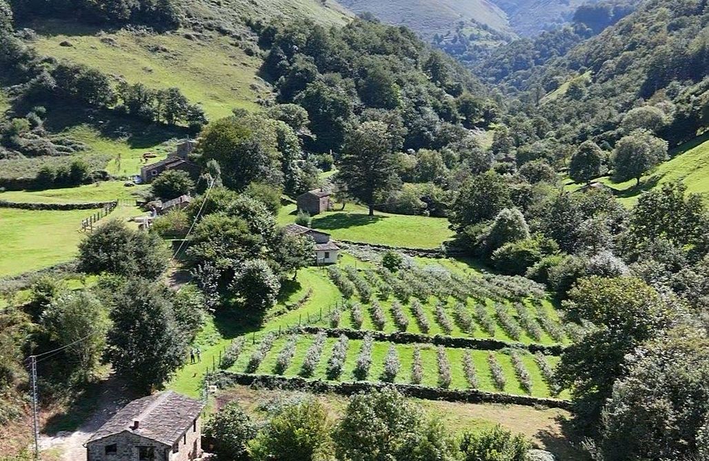 AlohaCamp Cabaña de los Rios 1