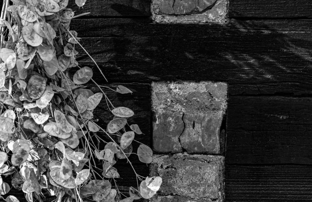 Cosy Lehde AlohaCamp