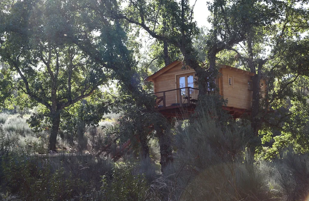 noclegi AlohaCamp Cabaña del bosque 2