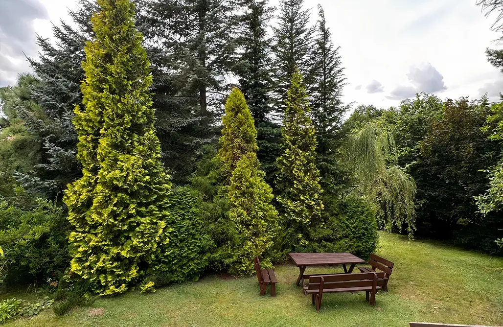 Tanie Noclegi Olsztyn Magiczny 3