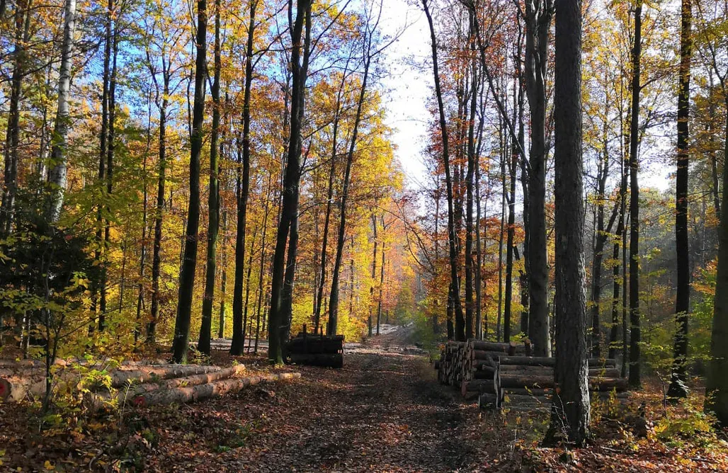 noclegi AlohaCamp Ekoturystyka Nowina 5