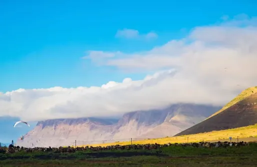 Imagen de Eco Dome Experience