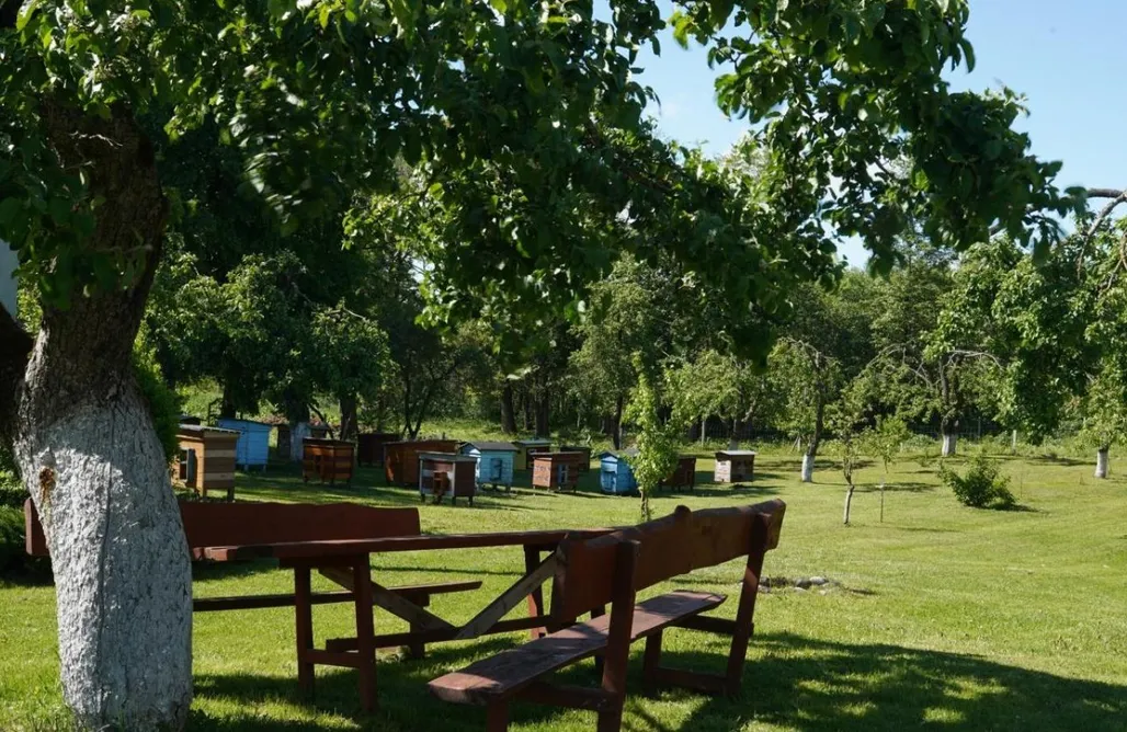 Tanie Wakacje Domek całoroczny nad jeziorem Gaładuś 3