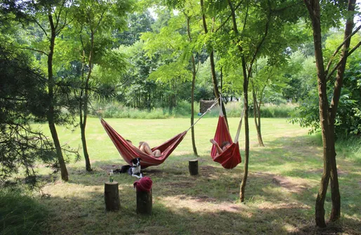 Zdjęcie obiektu Miejsce kamperowe i namiotowe - Grotów 5 