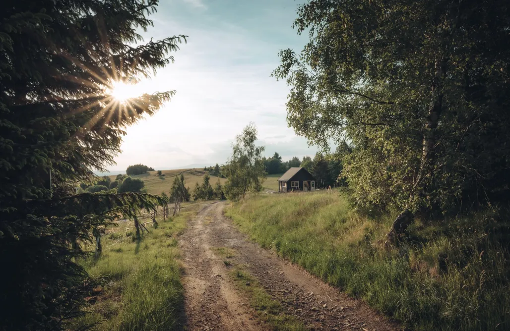 noclegi AlohaCamp Dziewięćsił - Blisko ziemi 5