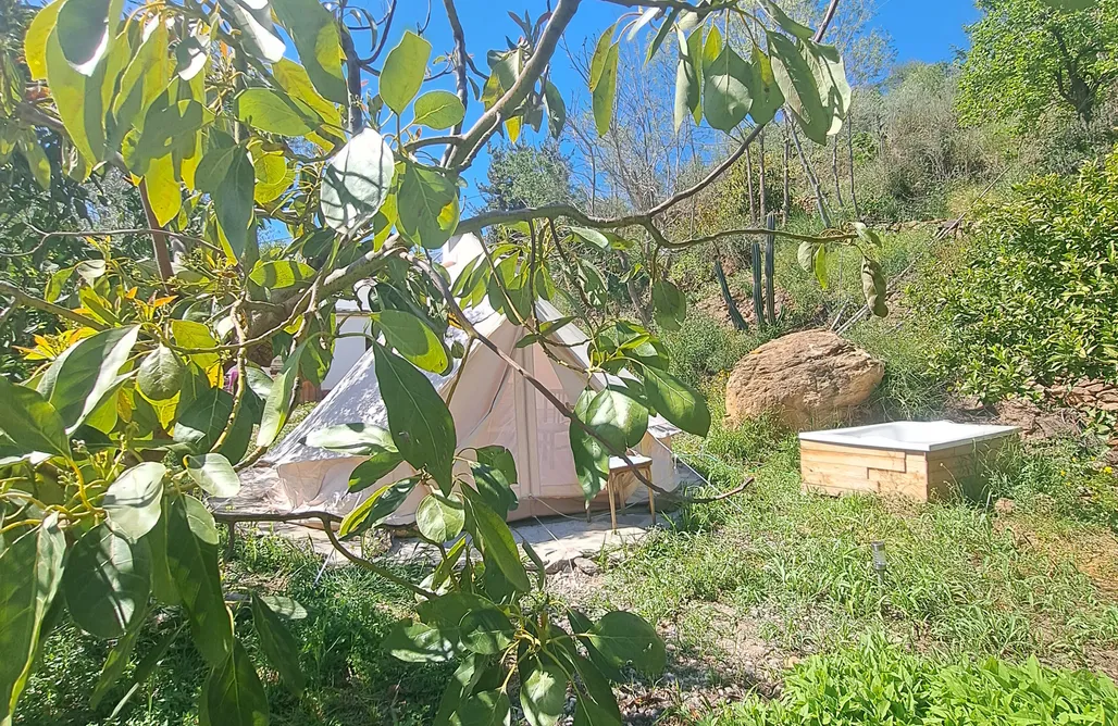 Unterkunft AlohaCamp Paraje Del Almendral - el Tipi 2