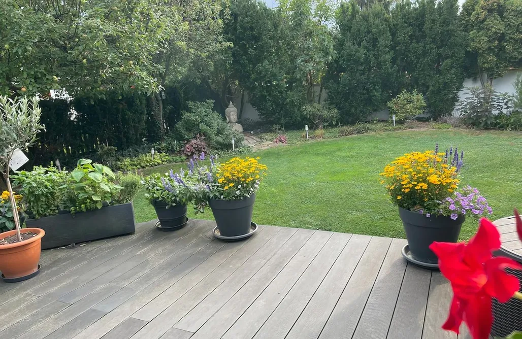 Ferienhaus Harz Villa Business & Family 1