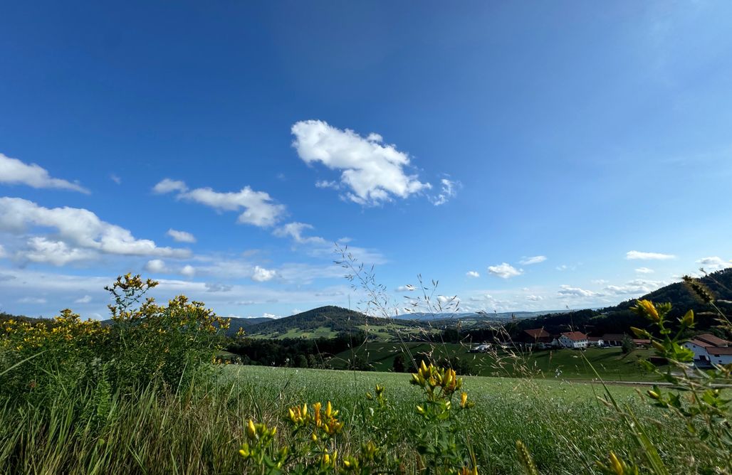 Unterkunft AlohaCamp Ferienhaus in Hauzenberg 1