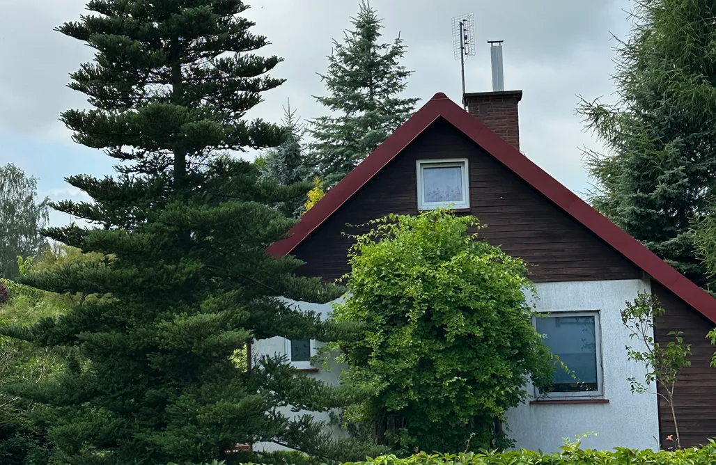 AlohaCamp accommodaties Magisch 4