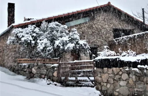 Imagen de La Margarita