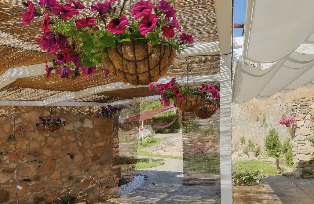 alojamientos AlohaCamp Cabaña Cefeo 5