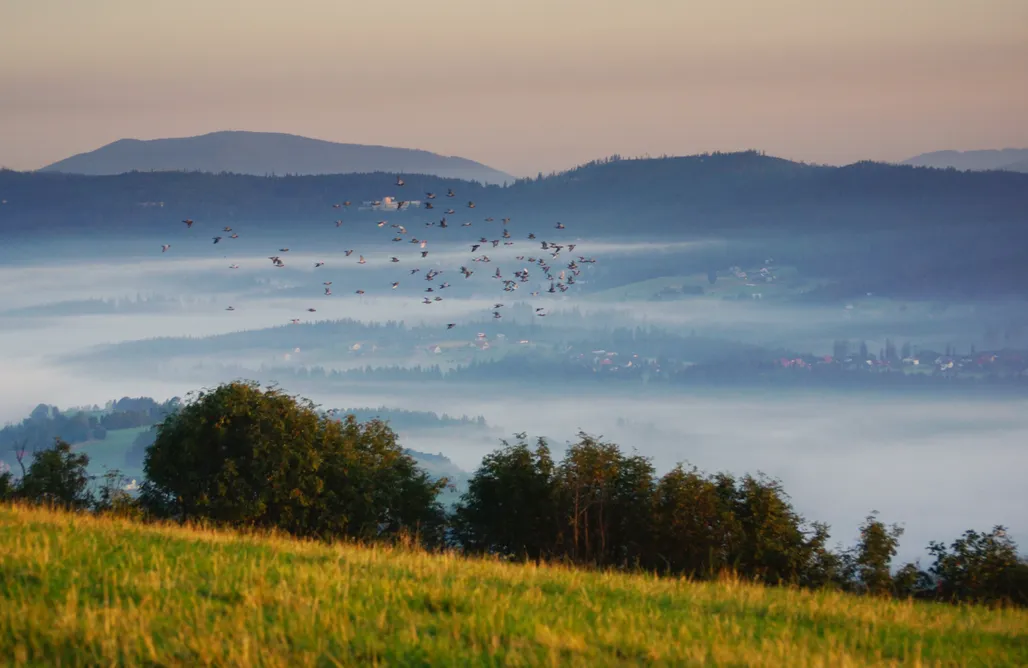 AlohaCamp domek Montini 1