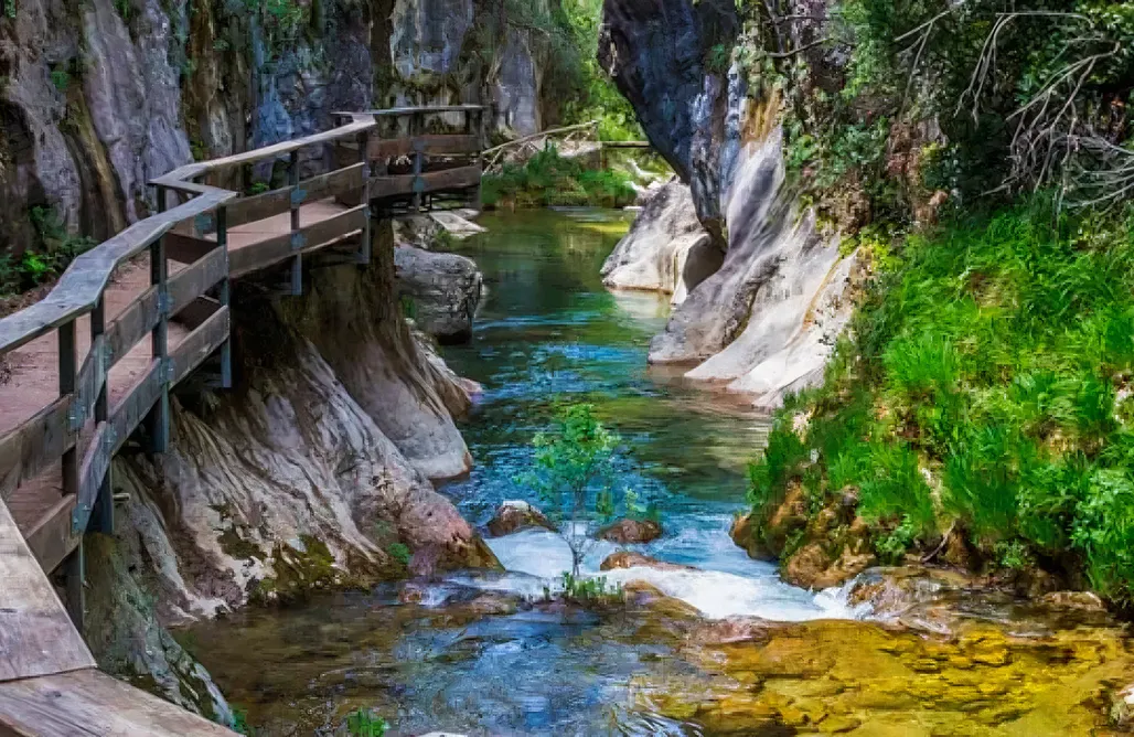 alojamientos AlohaCamp Cortijo Aurelia 1