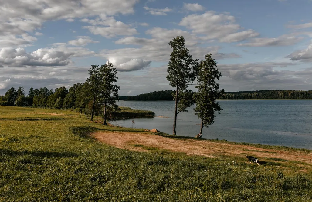 AlohaCamp Namiot 7 osobowy  1