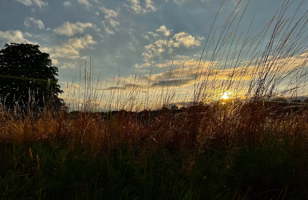 alojamientos AlohaCamp Widogruszka 1