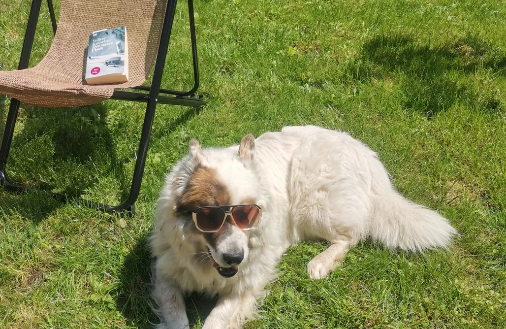 AlohaCamp accommodation Ferienhaus mit 3 Schlafzimmer in Seenähe 5