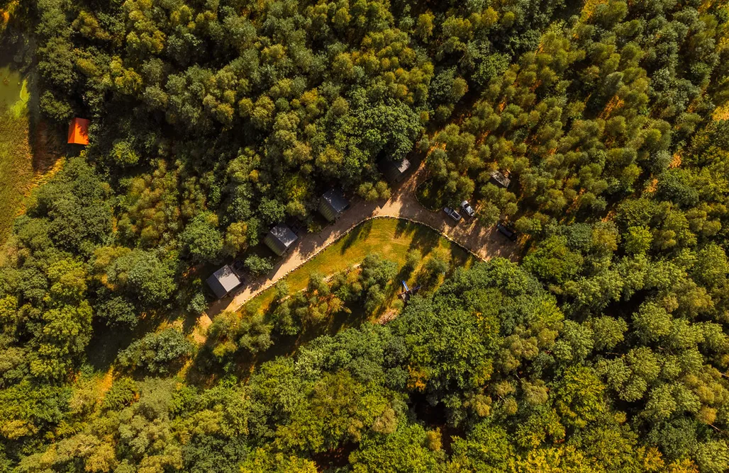 AlohaCamp accommodation Leno Tu - Przytulny leśny azyl z sauną i banią 5