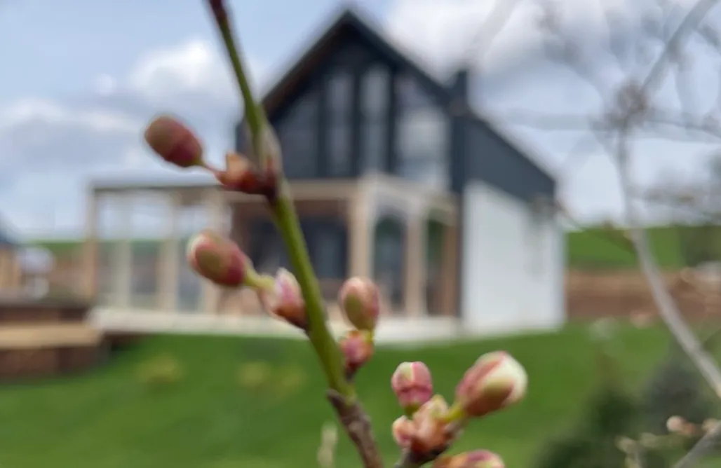 AlohaCamp Osada Sielankowo |  Dom w Świerkach 1