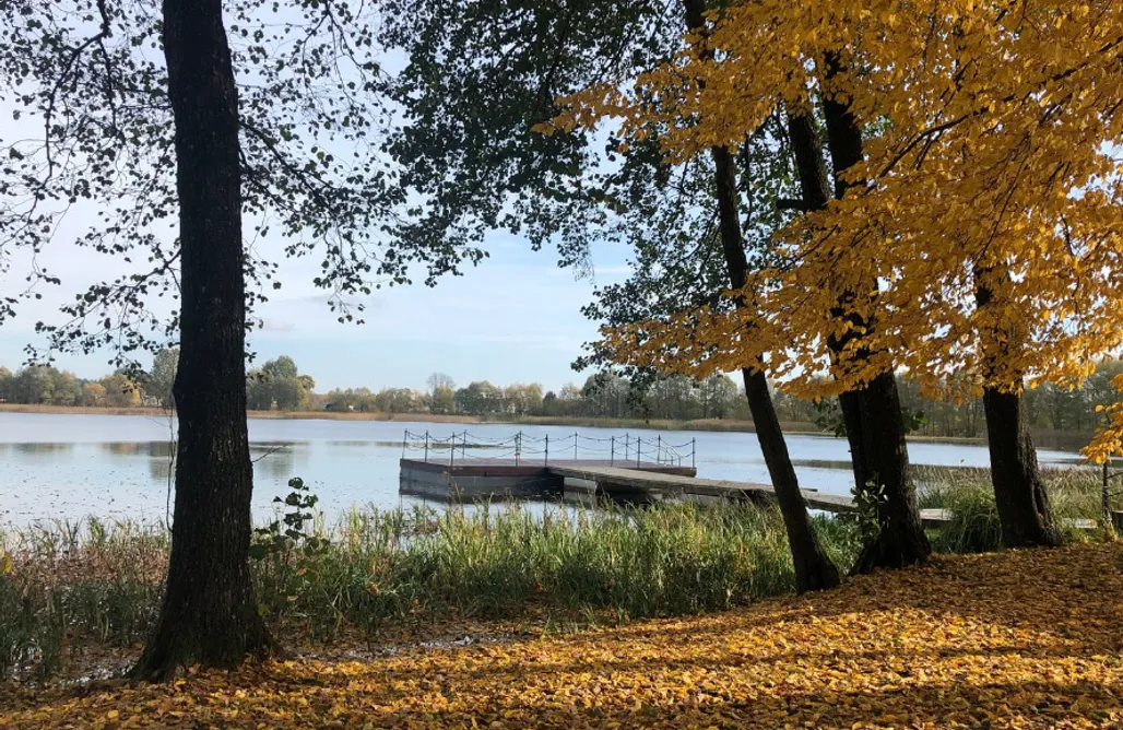 Alloggi AlohaCamp Domek na drzewie - Pałac Warlity 1