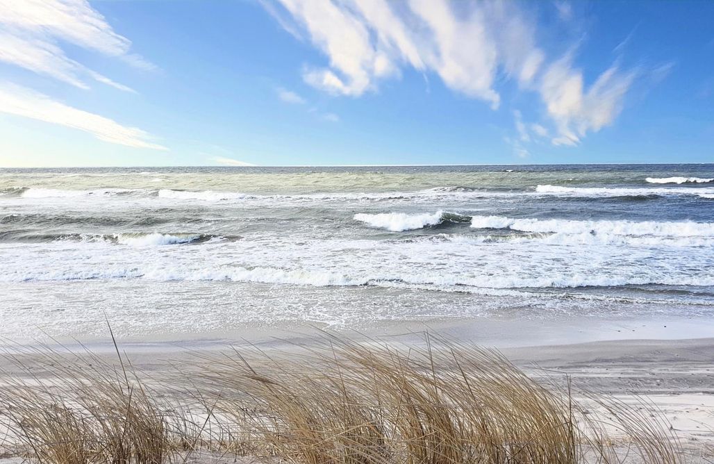 AlohaCamp Rodzinne Rusinowo 1