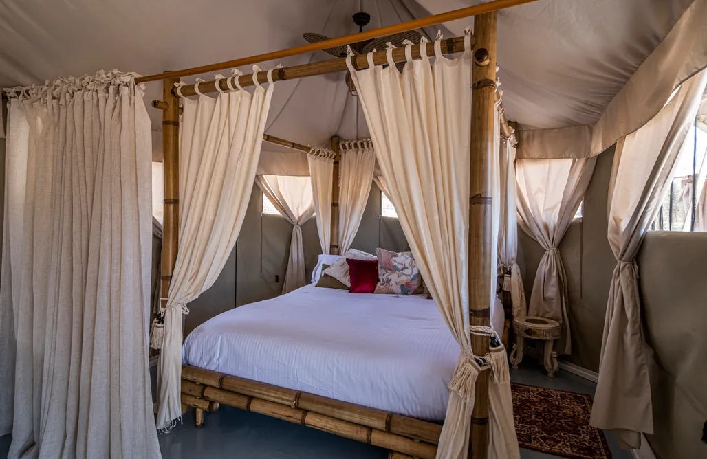 alojamientos AlohaCamp Tienda Safari - El Toril Glamping Experience 3
