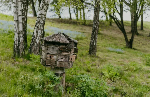 Zdjęcie obiektu Miejsce kamperowe - Plattówka