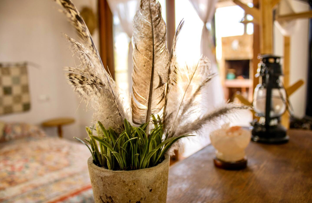 Alojamiento en Aldea Finca ¨La Oliva¨ 1