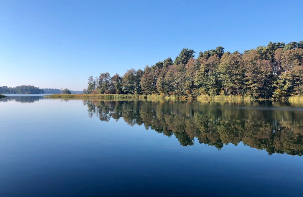 AlohaCamp Miejsce camperowe (1 osoba/Camper lub przyczepa z autem/Prąd/Śmieci) 2