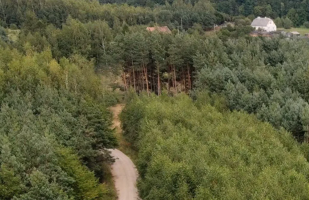 Alloggi AlohaCamp Siedlisko Jesionna 1