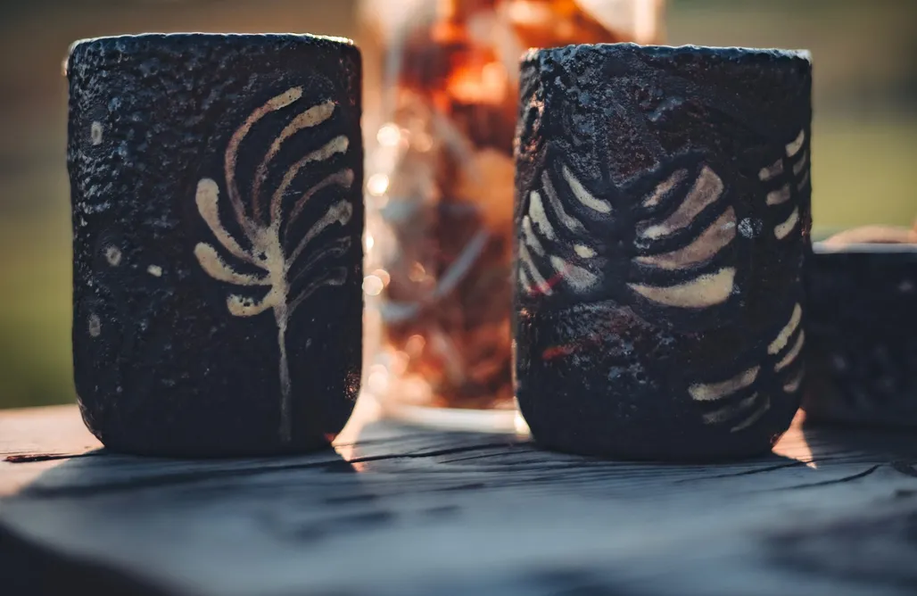 AlohaCamp Dziewięćsił - Blisko ziemi 1