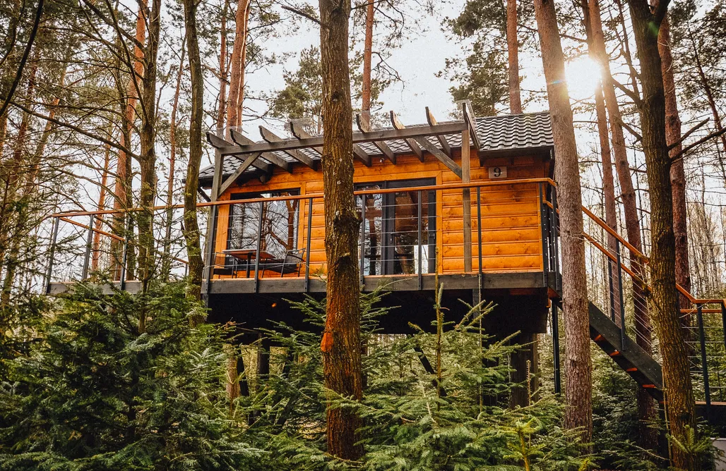 Bungalow Cyziówka (cabanes dans les arbres & maisons sur l'eau & tentes de glamping) 3