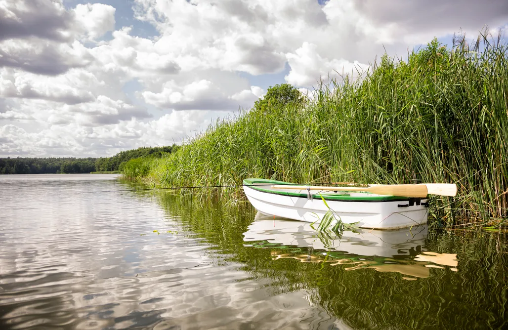 noclegi AlohaCamp Uroczysko Lutówko 5