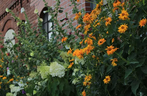 Zdjęcie obiektu Farma Jamienko