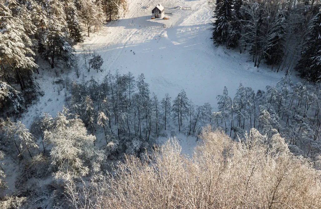 AlohaCamp accommodation Warmia Forest Kobułty 1
