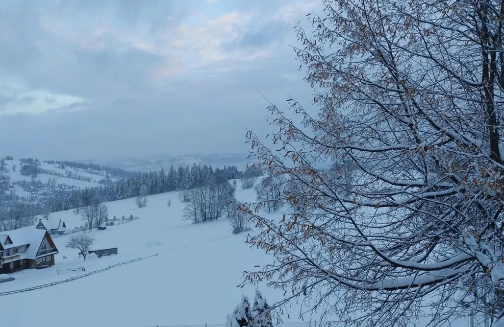 noclegi AlohaCamp Halne Izby - Pokoje Gościnne 5