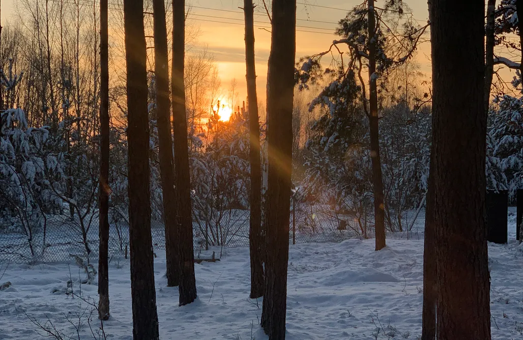 AlohaCamp accommodation Drewniana chatka w lesie koło jeziora 4