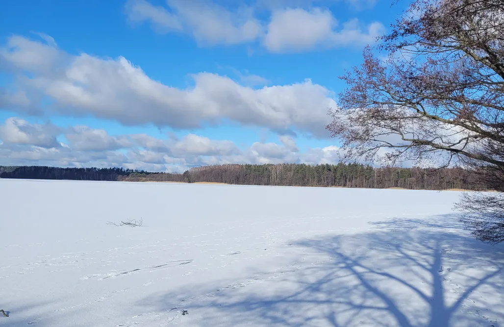 alojamientos AlohaCamp Kownatki 25a - Odkryj spokój między sosnami 1
