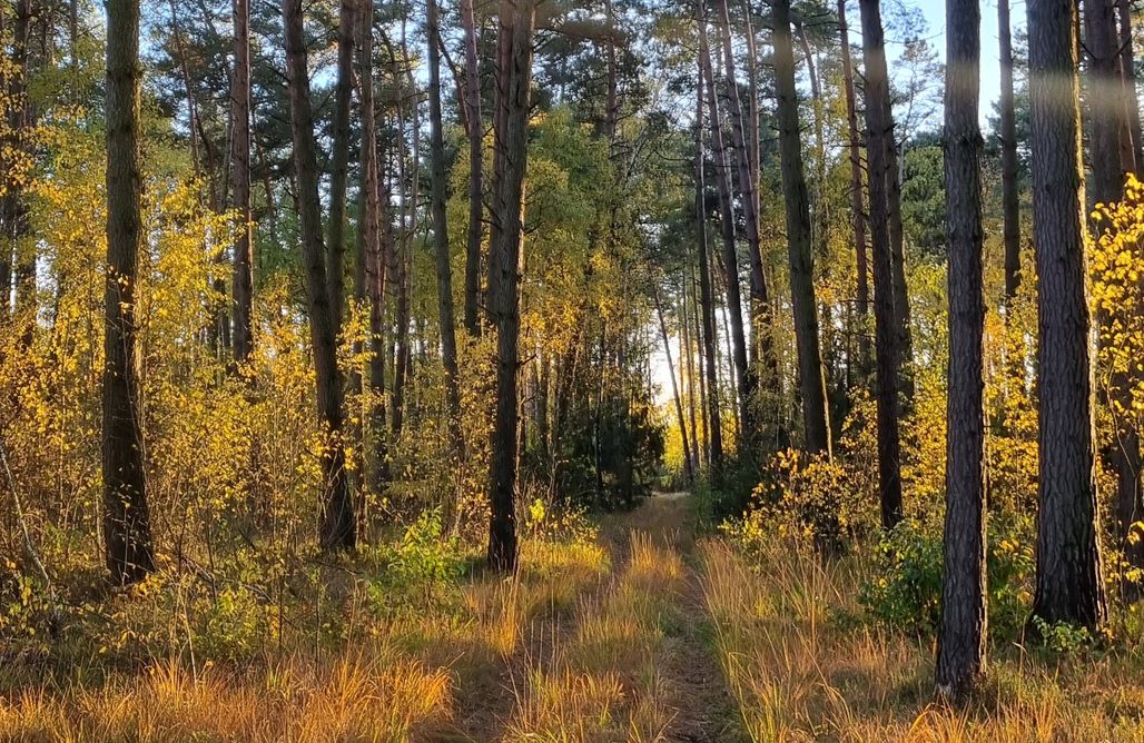 AlohaCamp Agroturystyka Pod Jeleniem 1