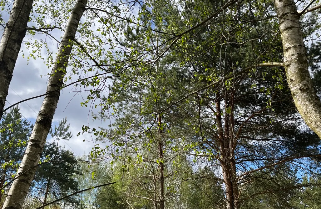 Kazimierz Dolny noclegi ze śniadaniem Stan Spokoju. Na wyłączność Jacuzzi oraz Sauna.  1