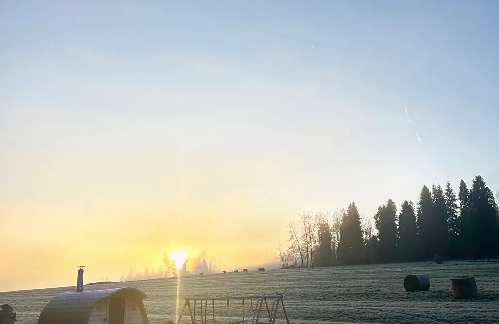 noclegi AlohaCamp Chatka przy Lesie z Sauną 3