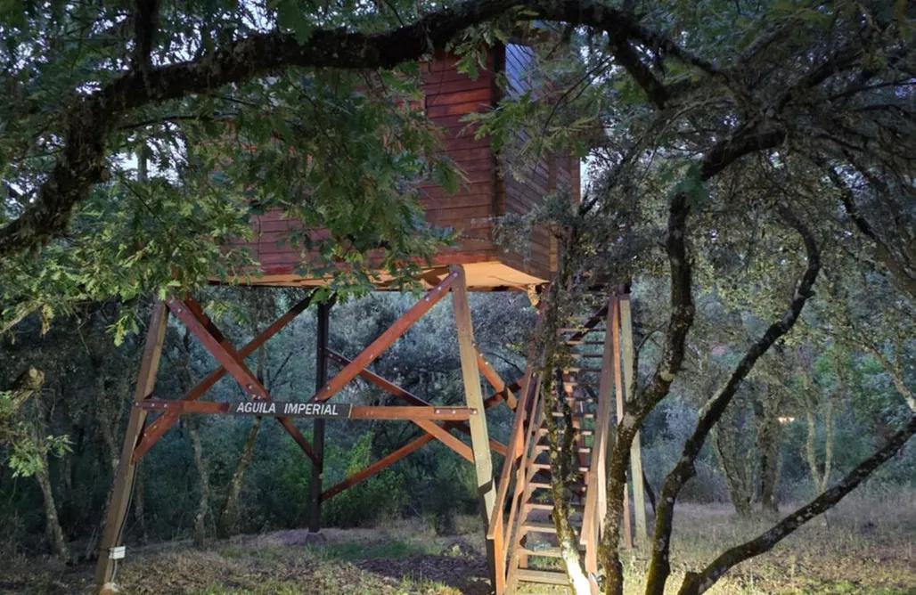 alojamientos AlohaCamp Ecolodge Cabañeros 4