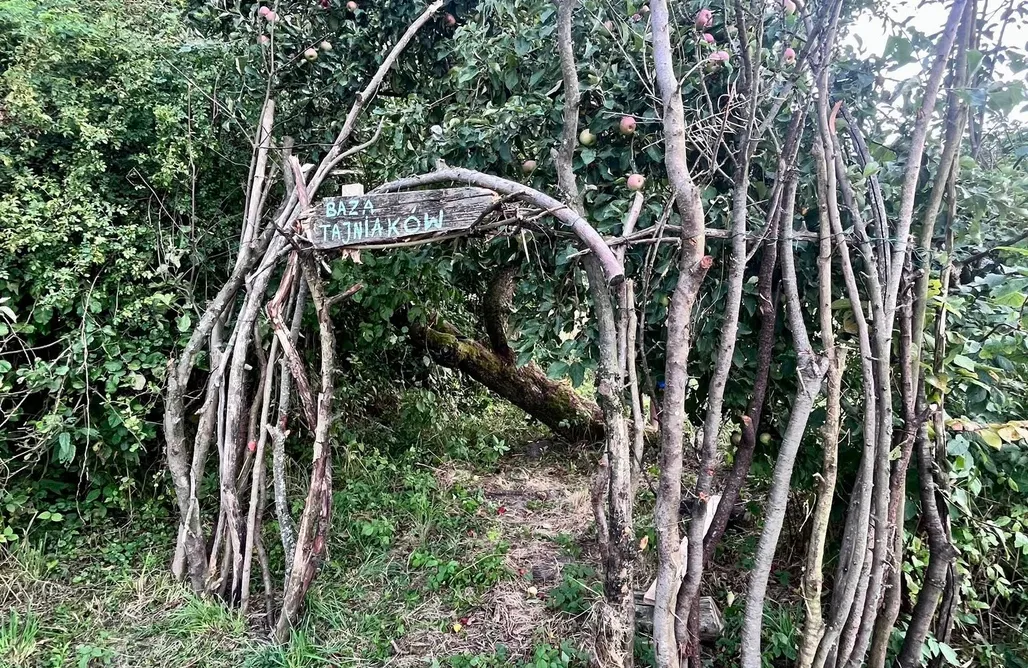 Alloggi AlohaCamp Miejsce kamperowo-namiotowe Siedlisko Przylesie 1